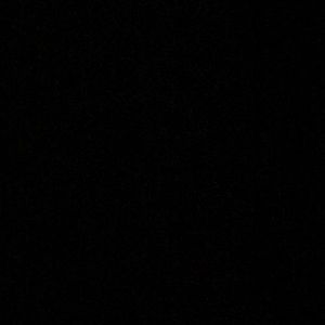 Meet your Posher, Isabella